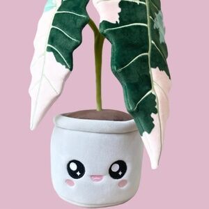 Plant Plushie - Variegated Alocasia Amazonica